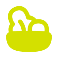 Green Salad Icon